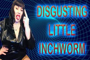DISGUSTING LITTLE INCHWORM