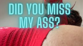 Did You Miss My Ass During Christmas? Let's See If You're Still a Good Slave | Facesitting Femdom POV | WMV