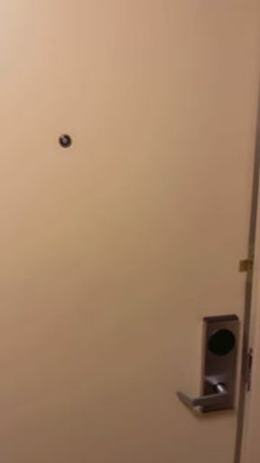 Girl next door explore Portland w /stranger onlyfans model