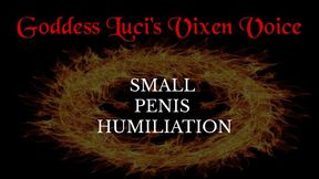 Small Penis Humiliation
