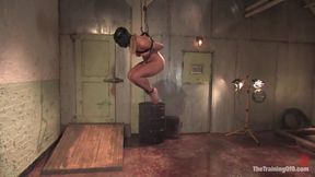 Training Of Day 3 With Dia Zerva