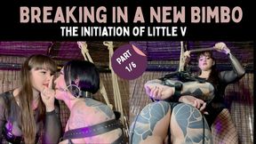 (1080P) Breaking In a New Bimbo – Part One – The Initiation of Little V. Vivienne l'Amour inspects her bound and gagged bimbo Wrestler Vixen