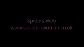 Spiders Web HD