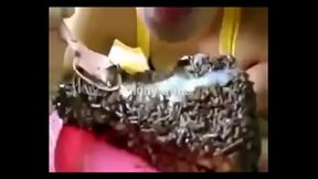 Torta riempita Mony trans