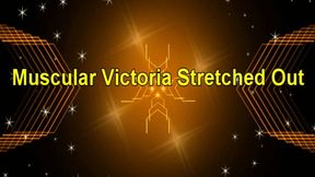 Muscular Victoria Stretched Out (Small)