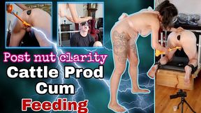 training zero femdom cei - cum eating slave or cattle prod bondage cumshot ruined orgasm