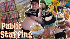 My Public All Day County Fair Stuffing (Fat Chat & Vlog) - WMV