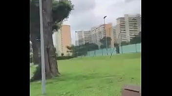 Paja en el parque