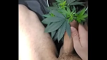 d. gay jerking off for a plant