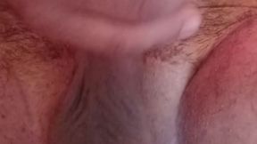 Hairy Ass licking &mdash;  asshole fingering and cock playing