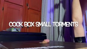 GEA DOMINA - COCK BOX SMALL TORMENTS