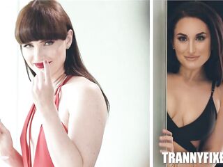 TransFixed - Poolside Manner