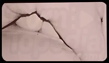 Raucous Retro Rendezvous: Busty Babes Unleash Their Wild Side