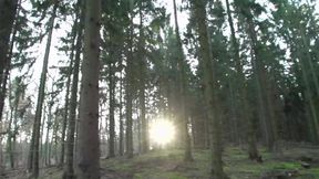 German Sex Stars Wild DP Orgy Scenes