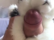 Jacking off again with my wolf plush
