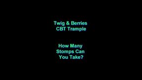 How Many Stomps Can You Take?