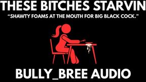 These Bitches Starvin Audio