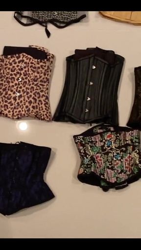 Look at My Collection!!! Want to Add to It