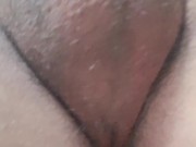 Paja mostrando testiculos