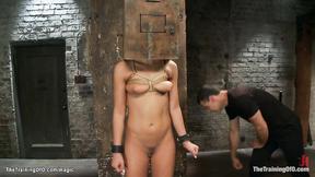 Strapped trainee beaver & butt banged