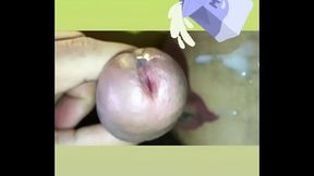 Morena&ccedil_o Belzebu