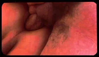 Stepfather Gay Porn: Barebacking in the Car free HD videos