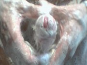 Soaped teasing