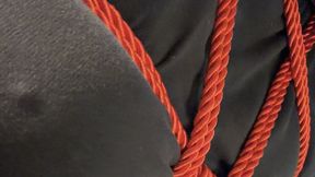 MarleneBound Vlog on New Ties