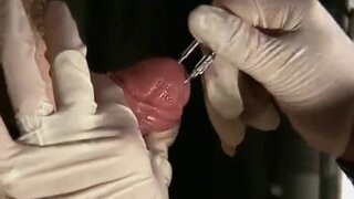 extrem shaft and testicles torment cock ball torture