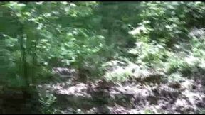 Mature Christie Wet Picnic In The Woods Turns Into BBC Gangbang! (2 of 6 mp4 sd)