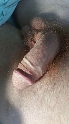 Hairyartist in Stepdads Cock Grows Huge for You