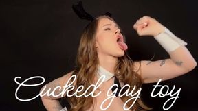 Cucked gay toy