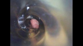 Inside view of me cumming inside toy