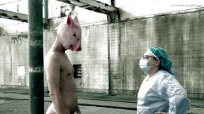 dominatrix mistress april - piggy pegging at the abattoir