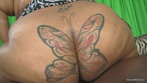 Short and Thick Busty Black Gal Rides Big Black Cock