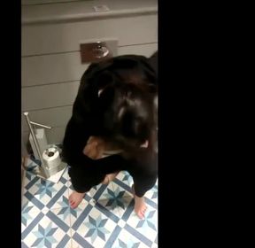 Pee on toilet seat compilation