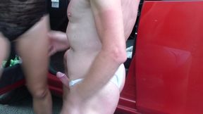 Sexy hitchhiker seduces driver