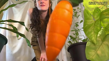 Carrot-Dangling