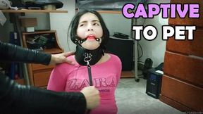 From Captive to Pet: Katherine’s Lesbian Bondage Taming Experience (high res mp4)