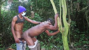 i fuck my friend gregory in the field while we leave to pick up the wood in the forest. his long, well -tense and doduing cock