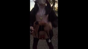 Independent Training No22 Exposure Walk Along the Road at Dusk