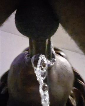 Perfect Blowjob