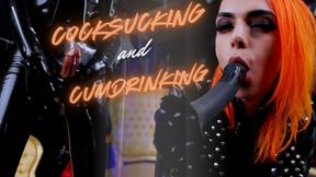 Cocksucking and Cumdrinking
