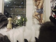 Fursuiter cums using Venus 2000 milking machine