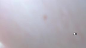 Sophia Miller La Private Show