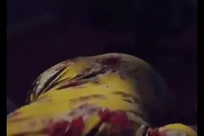 Hot MILF with huge tits surprises young stud on his birthday