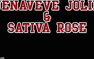 Jenaveve superbe  sativa rose