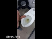 Jerking my Cock in Mall Bathroom, I Almost Cum There | Bran Ferro