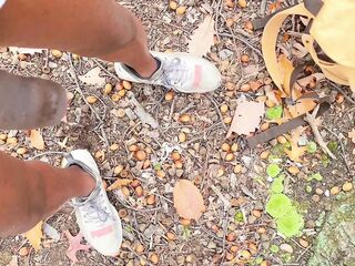 September throughout December 2025 Cumpilation