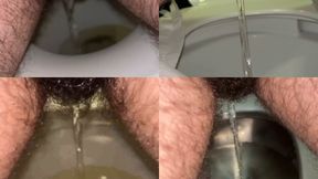 4 Pee You SAVE $$$$ MP4 Version